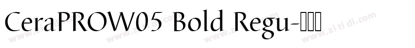CeraPROW05 Bold Regu字体转换